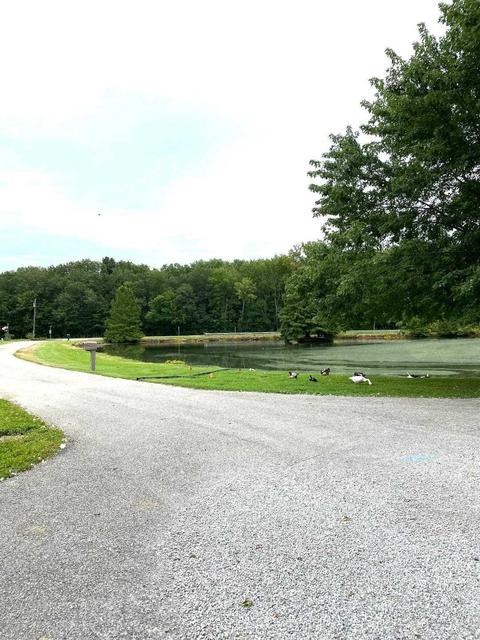 5 Lakeside Dr, Lyons, IN 47443 photo 8