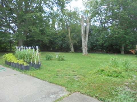 1111 E 29th St, Muncie, IN 47302 photo 21