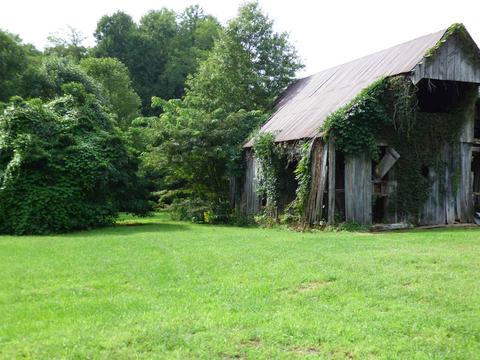 7963 S 100 E, Washington, IN 47501 photo 33