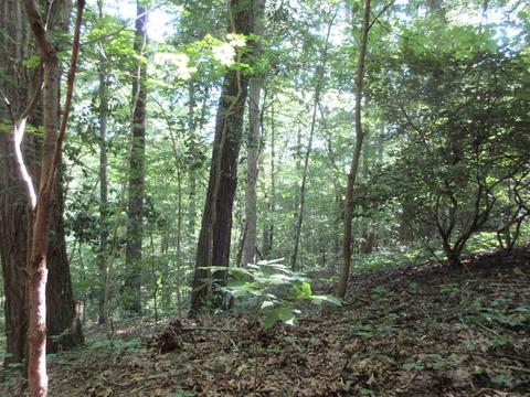 7141 E Pine Grove Rd, Bloomington, IN 47401 photo 6