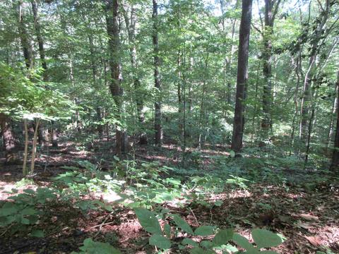 7141 E Pine Grove Rd, Bloomington, IN 47401 photo 5