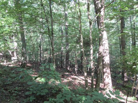 7141 E Pine Grove Rd, Bloomington, IN 47401 photo 7