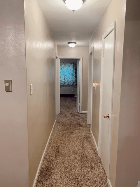 4917 S Wilbur Wright Rd, Straughn, IN 47387 photo 11