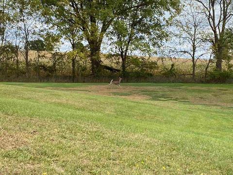 0145 S 925 E, Lagrange, IN 46761 photo 18