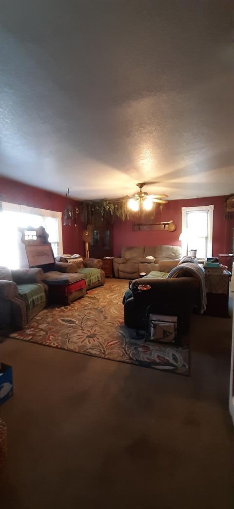 195 E Union St, Waterloo, IN 46793 photo 9