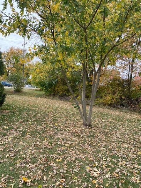 601 Hart Dr, Dunkirk, IN 47336 photo 16