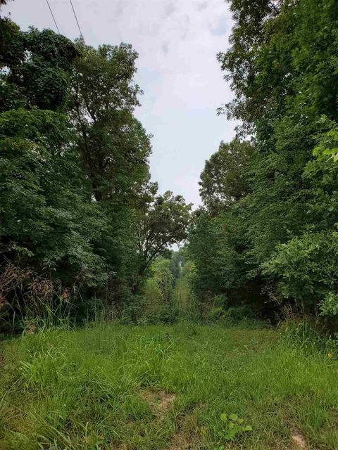 68 43acres Murray Rd, Mitchell, IN 47446 photo 6