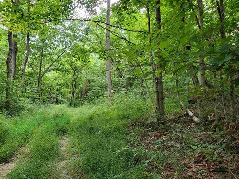 68 43acres Murray Rd, Mitchell, IN 47446 photo 8