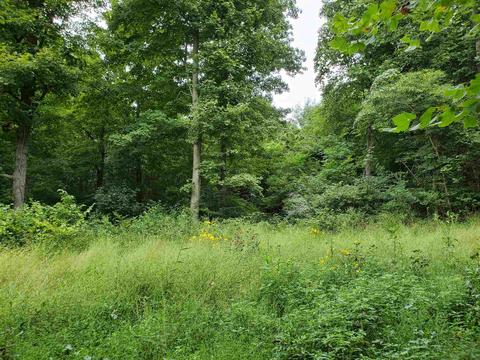 68 43acres Murray Rd, Mitchell, IN 47446 photo 11