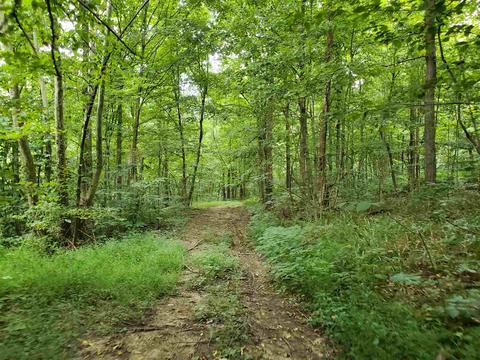 68 43acres Murray Rd, Mitchell, IN 47446 photo 10