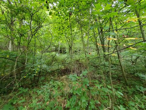 68 43acres Murray Rd, Mitchell, IN 47446 photo 35