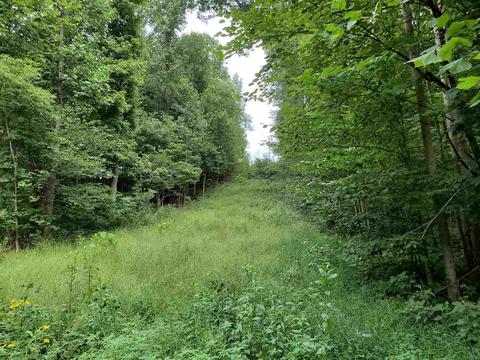 68 43acres Murray Rd, Mitchell, IN 47446 photo 12