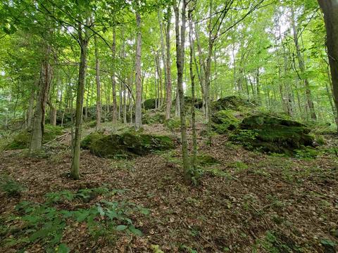 68 43acres Murray Rd, Mitchell, IN 47446 photo 32