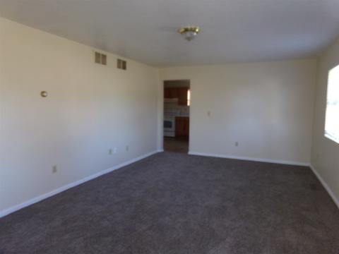 101 E Hobart St, Ashley, IN 46705 photo 10