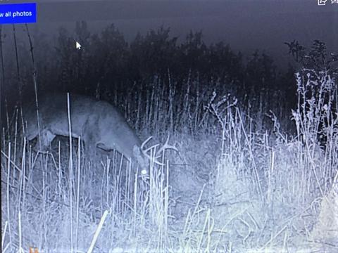 6830 N County Rd 1030 E, Forest, IN 46039 photo 30