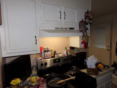 475 S Elm St, Waterloo, IN 46793 photo 28