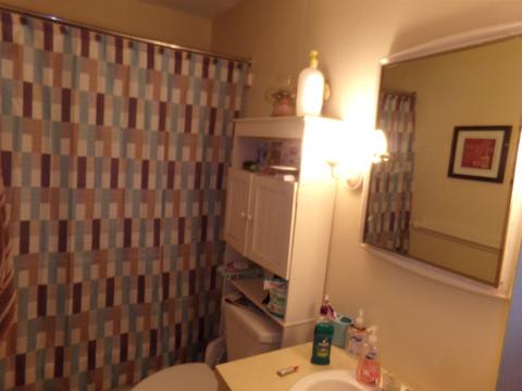 475 S Elm St, Waterloo, IN 46793 photo 11