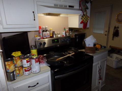 475 S Elm St, Waterloo, IN 46793 photo 27
