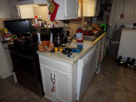 475 S Elm St, Waterloo, IN 46793 photo 24