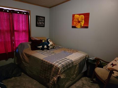 264 Kings Ridge Rd, Mitchell, IN 47446 photo 21