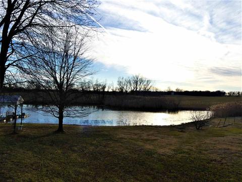 6977 N 25 E Rd, Hazleton, IN 47640 photo 18