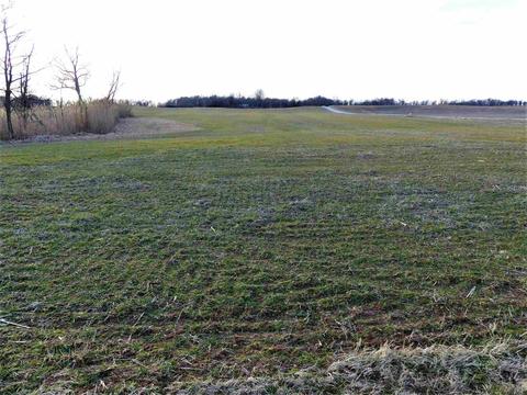 6977 N 25 E Rd, Hazleton, IN 47640 photo 22