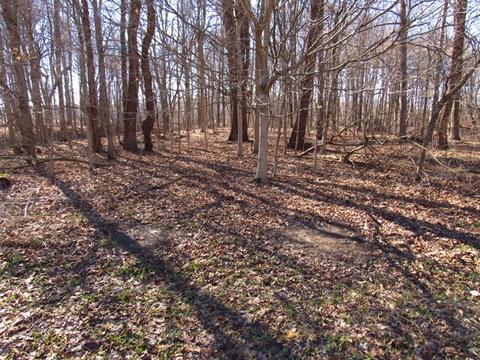 3450 S Starkey Rd, Covington, IN 47932 photo 26