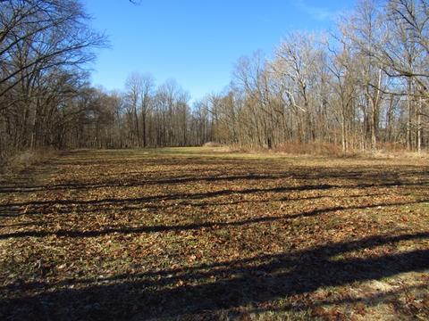 3450 S Starkey Rd, Covington, IN 47932 photo 25