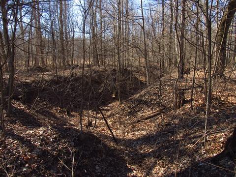3450 S Starkey Rd, Covington, IN 47932 photo 23