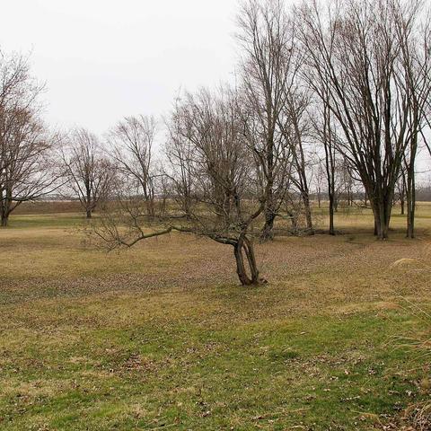 388 S 950 E, Greentown, IN 46936 photo 23