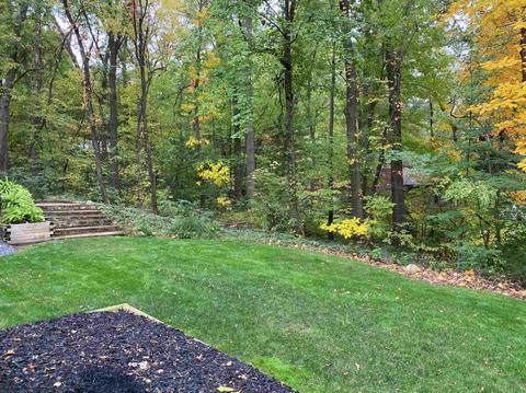 50566 Crocus Ct, Granger, IN 46530 photo 5