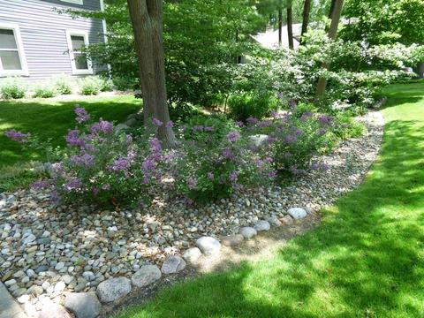 52386 Windover Ln, Granger, IN 46530 photo 29