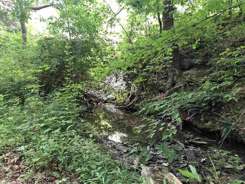 8712 E Daily Rd, Pekin, IN 47165 photo 22