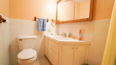 809 E Pine Ln, Monticello, IN 47960 photo 15
