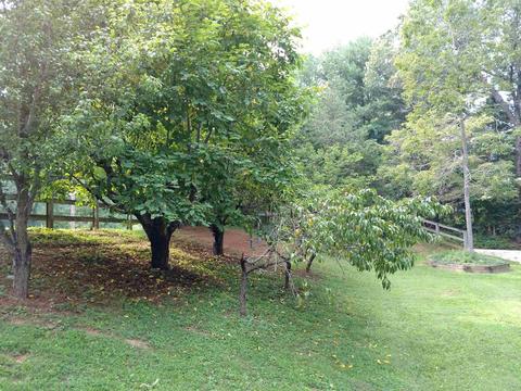 6702 E Duke Rd, Bloomington, IN 47401 photo 28
