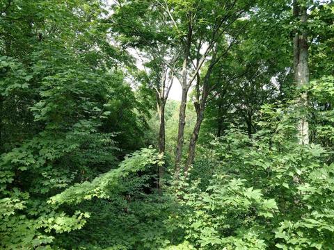 6702 E Duke Rd, Bloomington, IN 47401 photo 20