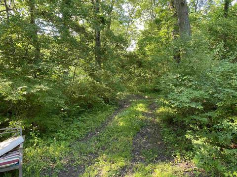175 S Pump Rd, Markle, IN 46770 photo 33