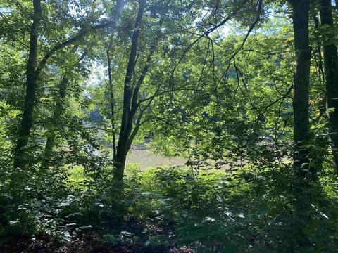 175 S Pump Rd, Markle, IN 46770 photo 34