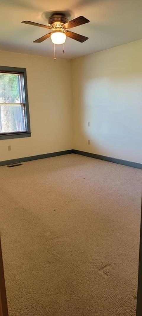 12904 E 1650 N, Odon, IN 47562 photo 10