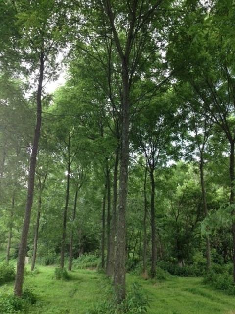 7301 N Maple Grove Rd, Bloomington, IN 47404 photo 5