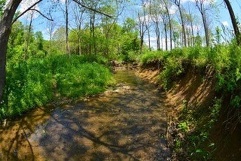 7301 N Maple Grove Rd, Bloomington, IN 47404 photo 4