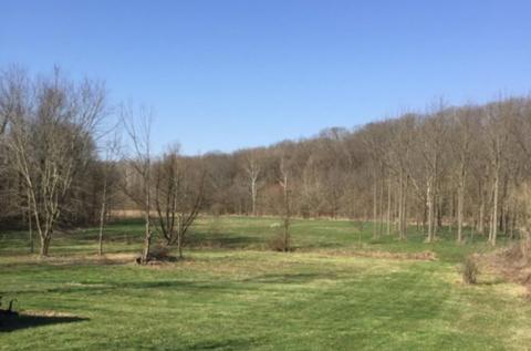 7301 N Maple Grove Rd, Bloomington, IN 47404 photo 7