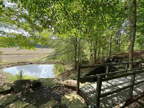 1507 S 820 E, Celestine, IN 47521 photo 29
