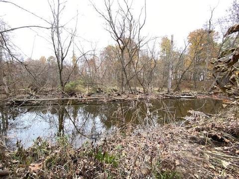 5820 S 800 East Rd, Hamilton, IN 46742 photo 19