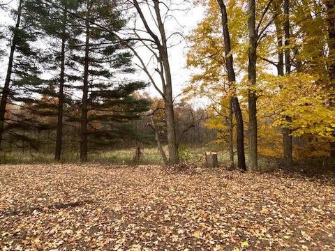 5820 S 800 East Rd, Hamilton, IN 46742 photo 23