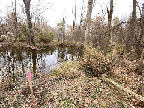 5820 S 800 East Rd, Hamilton, IN 46742 photo 20
