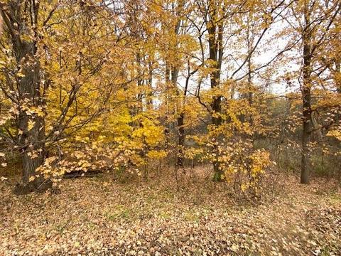 5820 S 800 East Rd, Hamilton, IN 46742 photo 21