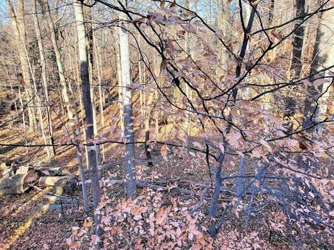 3774 E Regents Ct, Bloomington, IN 47401 photo 23