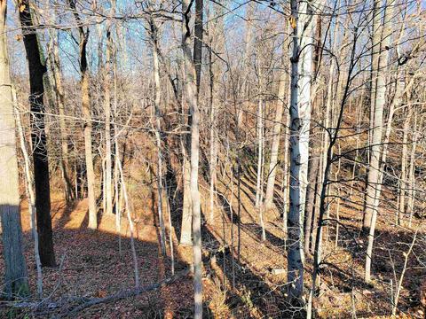 3774 E Regents Ct, Bloomington, IN 47401 photo 24