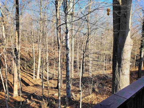 3774 E Regents Ct, Bloomington, IN 47401 photo 20